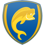 뉴캐슬 유나이티드