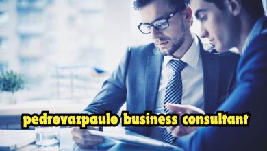 pedrovazpaulo business consultant