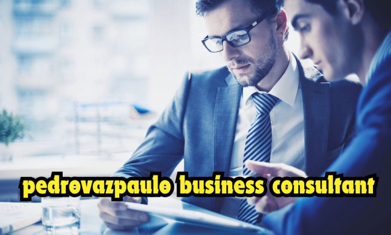 pedrovazpaulo business consultant
